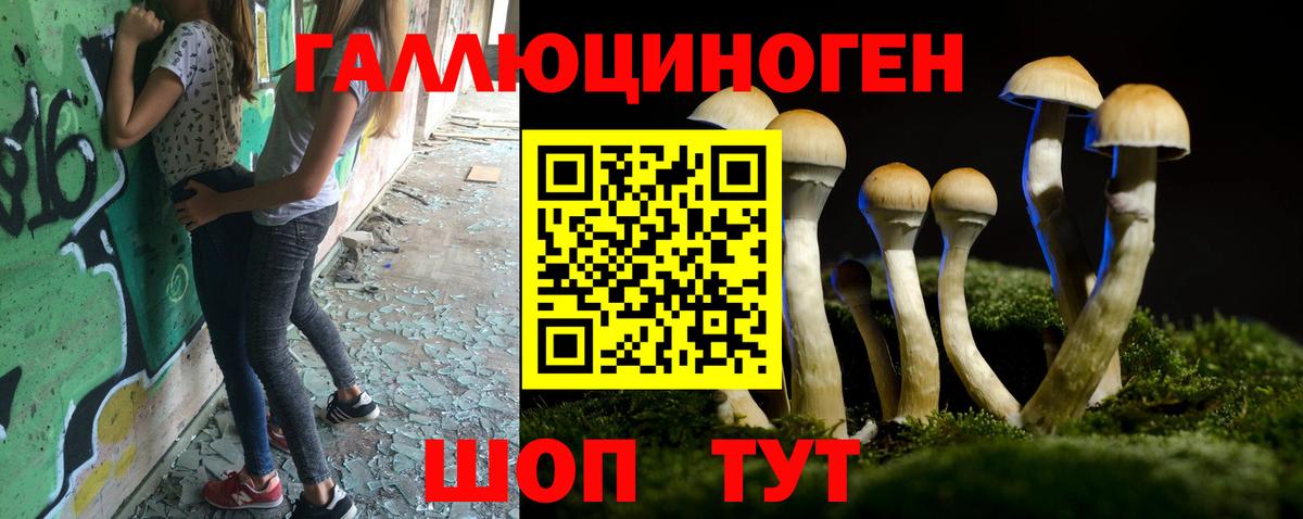 Галлюциногенные грибы MAGIC MUSHROOMS  Вход с VPN  где найти   Заволжье 
