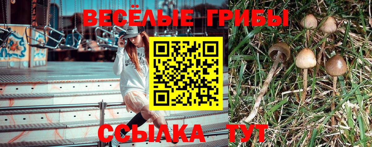 Псилоцибиновые грибы мицелий Заволжье